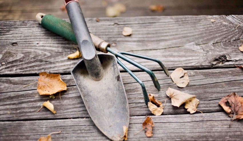 Листопад у саду