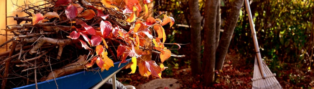 Місячний календар на листопад 2020