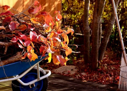 Місячний календар на листопад 2020