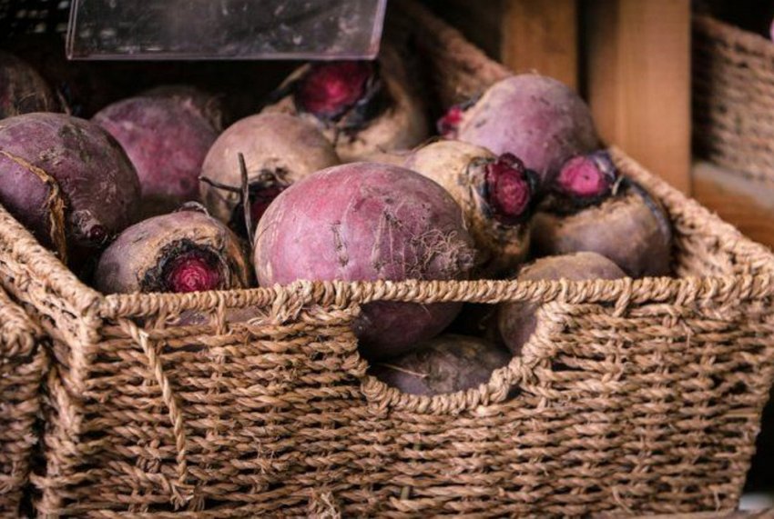 Хранення буряків в підвалі