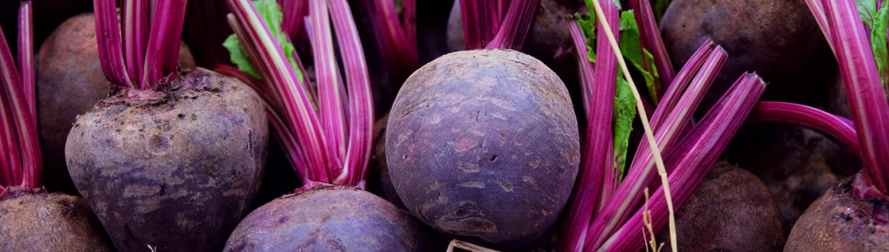 Як зберегти буряк на зиму: найпопулярніші способи