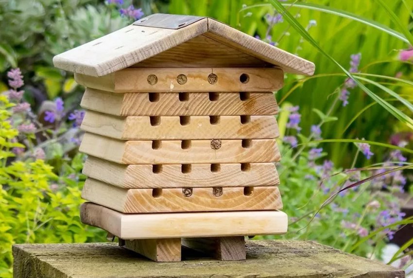 Домік для бджіл Домік для бджіл