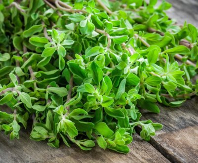 Gaia Herbs Bv розширює свою присутність в Європі завдяки злиттю з німецькою компанією