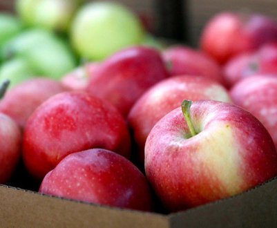 Мексика відкрита для бельгійських яблук