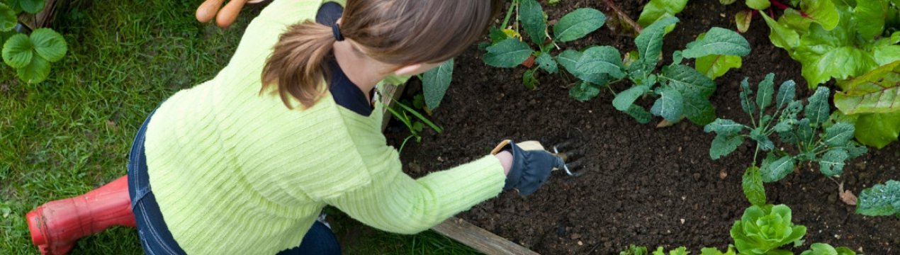 5 знаків зодіаку, які найбільше люблять копатися в грядках