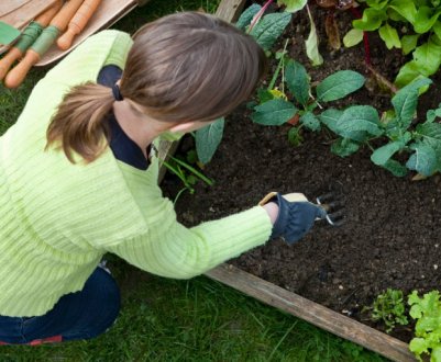 5 знаків зодіаку, які найбільше люблять копатися в грядках