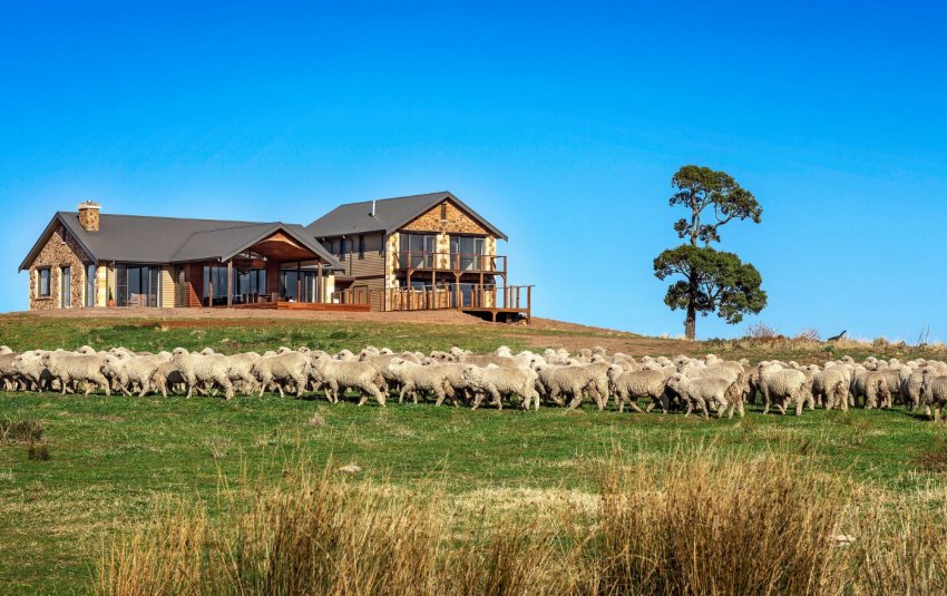 Ферма в Австралії Ферма в Австралії