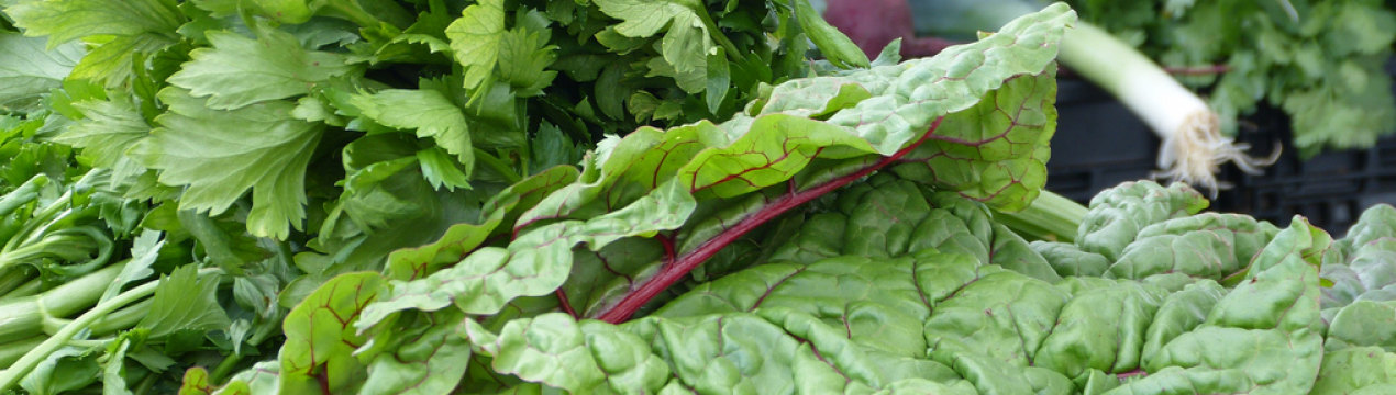 Які культури вигідно продавати зі своєї ділянки без особливих клопотів і витрат грошей