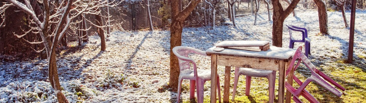 Місячний календар садівника-городника на грудень 2020