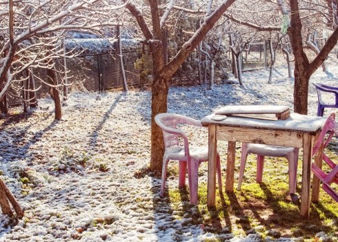 Місячний календар садівника-городника на грудень 2020