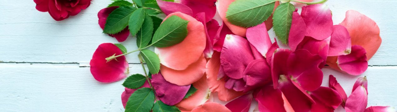 Пелюстки цих рослин я використовую в готуванні: 3 моїх улюблених рецепти