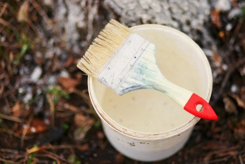 Вапнювання дерев