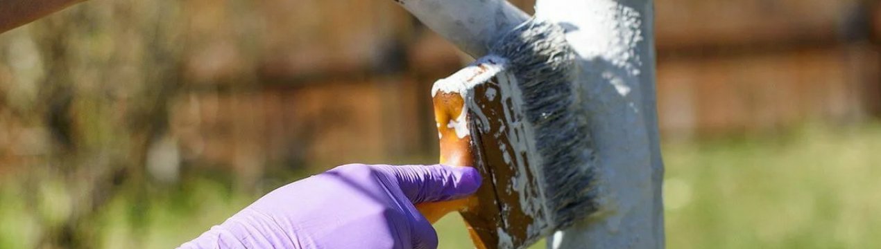 Знайомий дачник сказав, що не рекомендує відбілювати дерева і розповів, чому: я задумалась