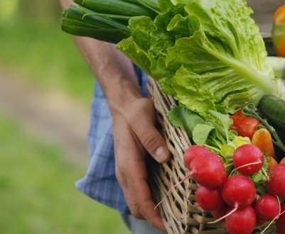 Як поділитися зайвим врожаєм і не зіпсувати майбутнє: мій особистий досвід