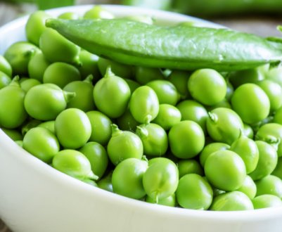 Круглий рік їмо свіжу зелену квасолю: 4 поради щодо її вирощування в домашніх умовах