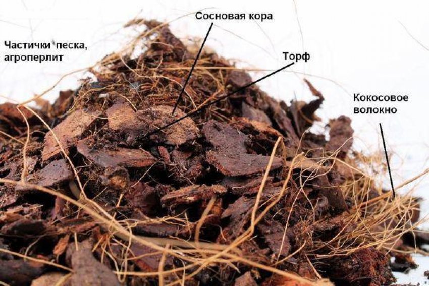 Субстрат для орхідей Субстрат для орхідей