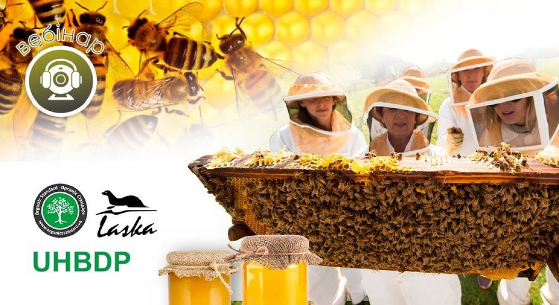 Розвиток органічного бджільництва в Україні та вимоги щодо сертифікації.