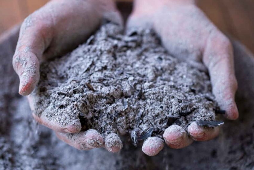 Деревна зола для квітів