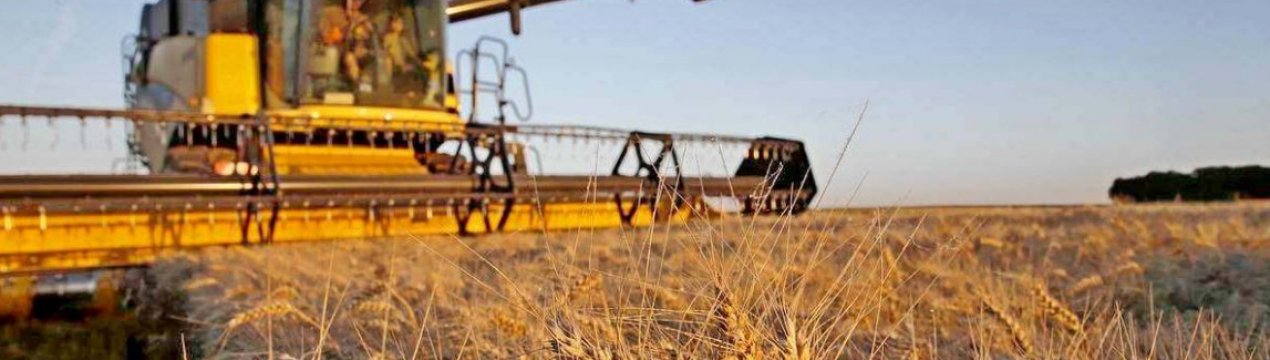 У 2020 році аграрії зібрали уже 60 млн тонн зерна