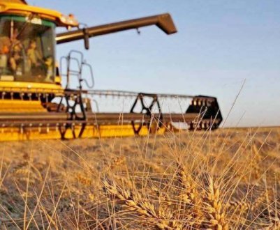 У 2020 році аграрії зібрали уже 60 млн тонн зерна