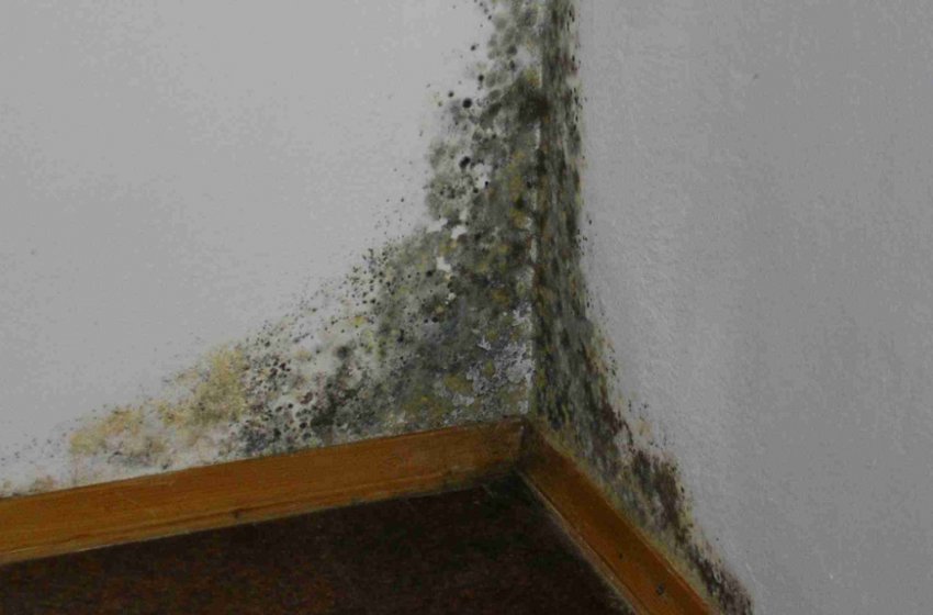 Вологість вдома Вологість вдома