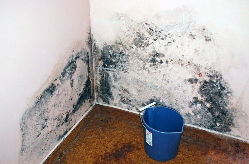 Вологість в дачному будинку Вологість в дачному будинку