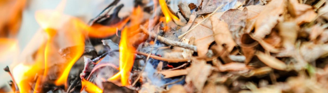 Можна чи варто зжигати на городі старі гілки і листя: більше шкоди чи користі?