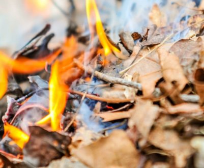 Можна чи варто зжигати на городі старі гілки і листя: більше шкоди чи користі?