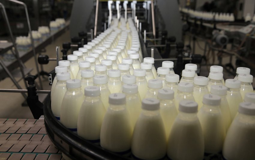 Виробництво молочної продукції Виробництво молочної продукції