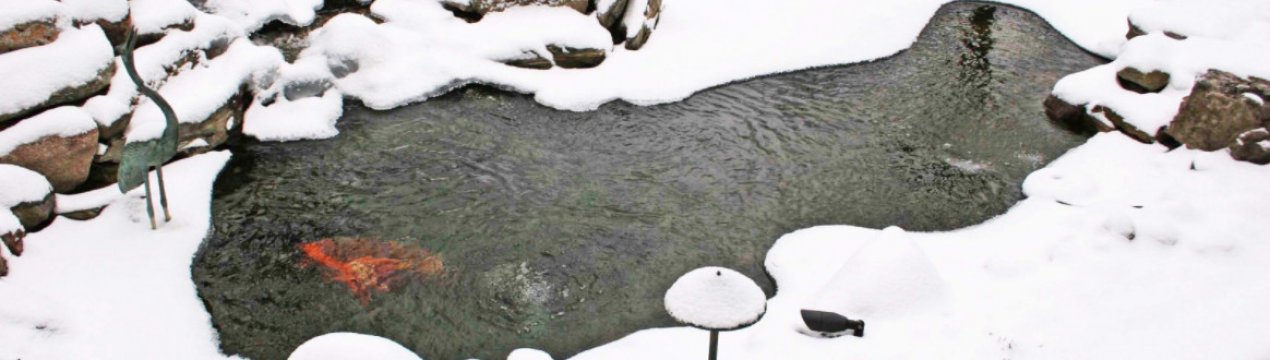 Як доглядати за дачним ставком взимку