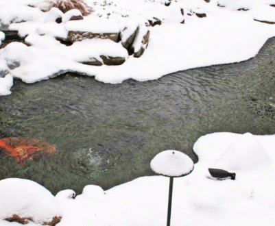 Як доглядати за дачним ставком взимку