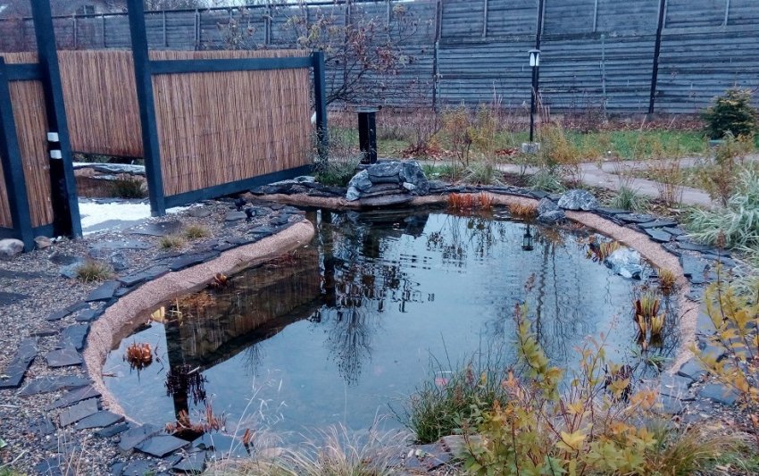 Підготовка ставка до зими Підготовка ставка до зими