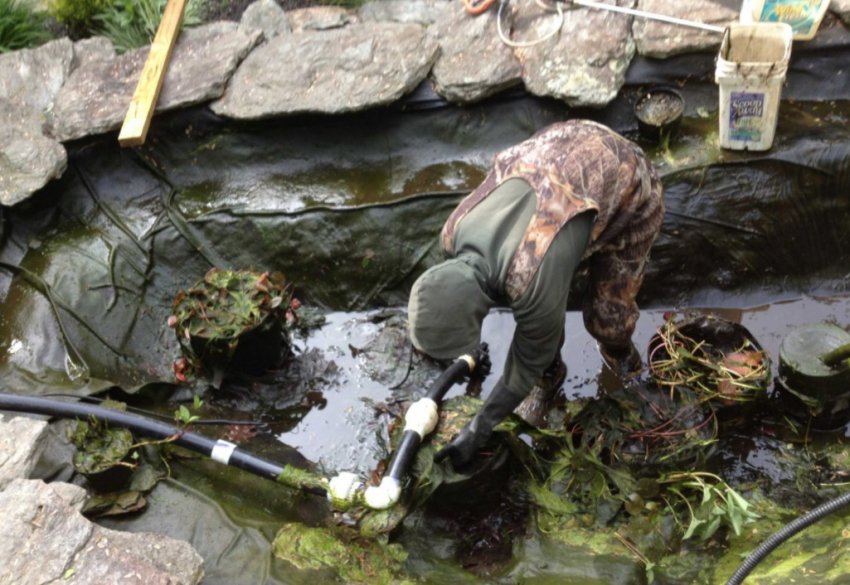 Підготовка ставка до зими Підготовка ставка до зими