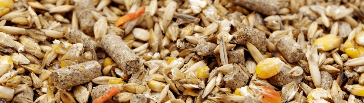 Нові можливі шляхи стабілізації ринку кормів в Україні