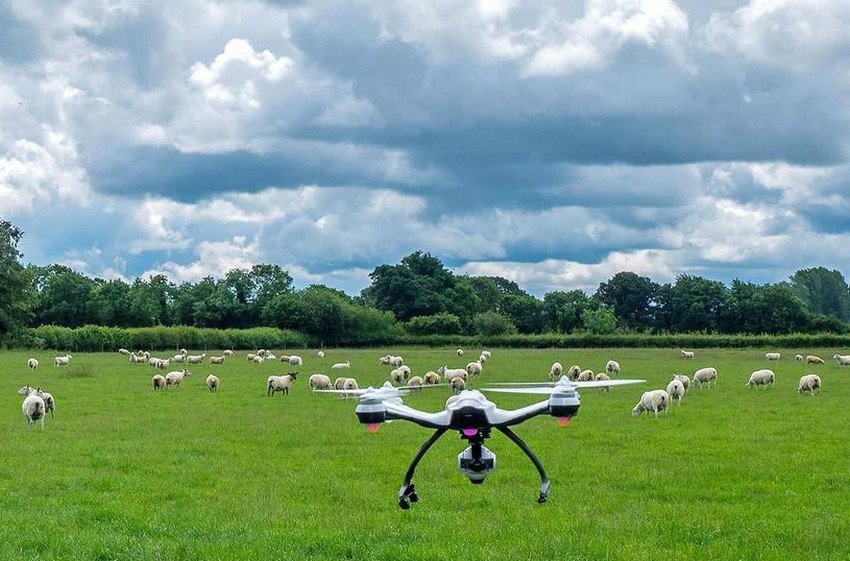 Дрони-пастухи