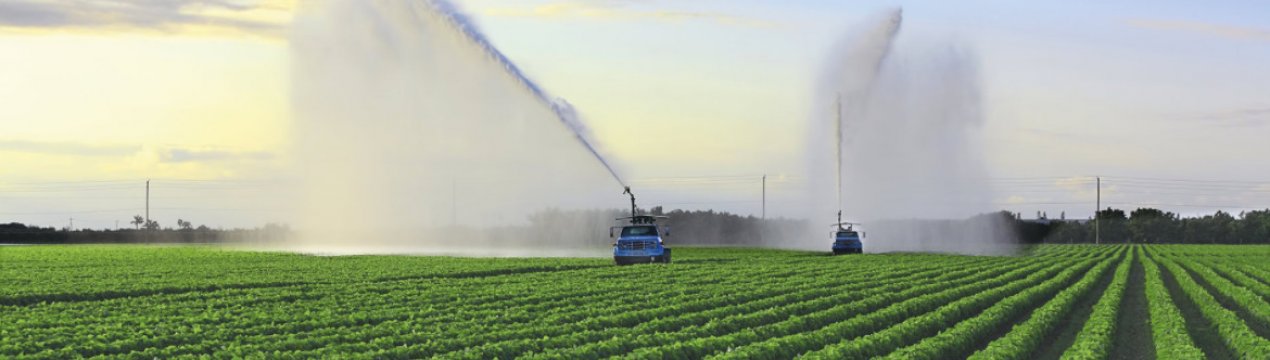 Стало відомо, готова чи Україна до поливної кампанії 2021 року