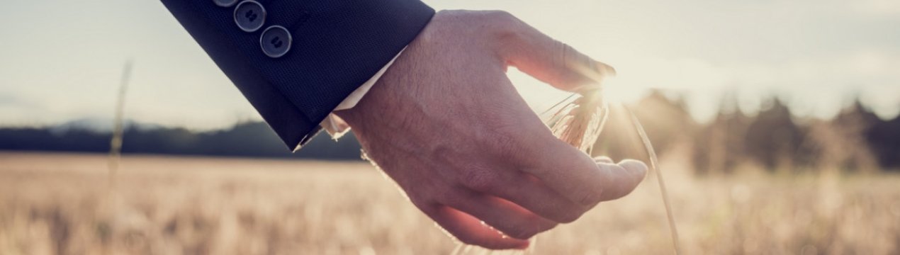 Агрострахування в Україні: коли і кому готуватися