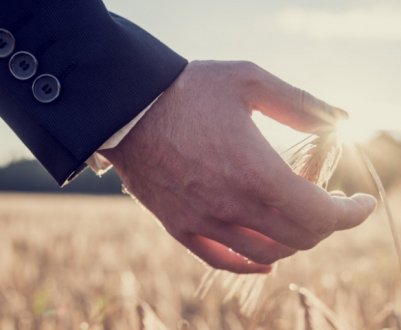 Агрострахування в Україні: коли і кому готуватися