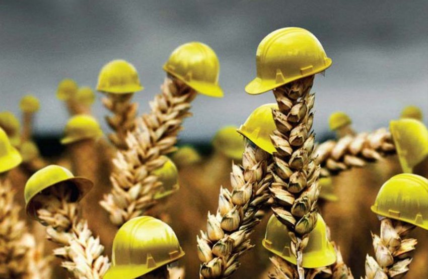 Агрострахування в Україні