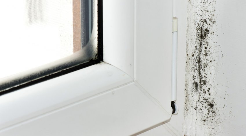 Вологість вікон Вологість вікон