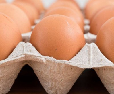 Албанія організувала імпорт курячих яєць з України