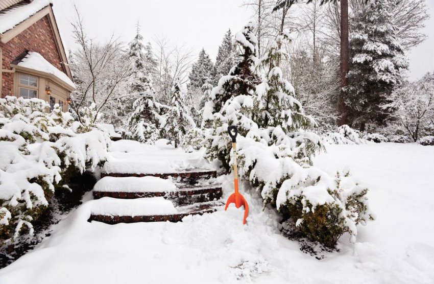 Сніг на ділянці