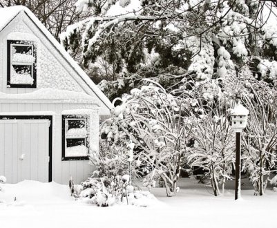 Як утримати сніг взимку на своїй ділянці? І для чого це потрібно?