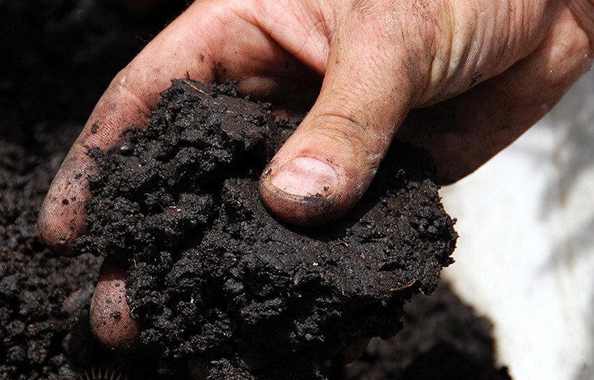 Вологість ґрунту Вологість ґрунту