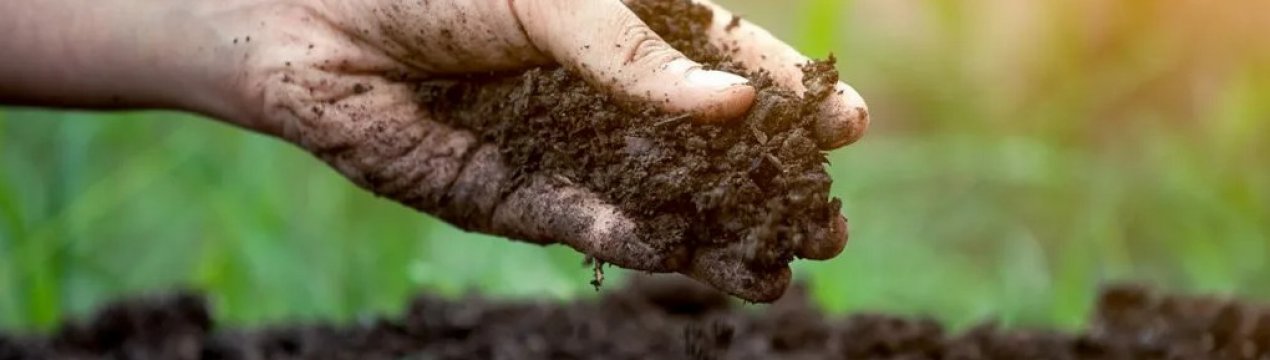 В Україні відзначено підвищення вологості ґрунтів