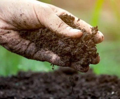 В Україні відзначено підвищення вологості ґрунтів