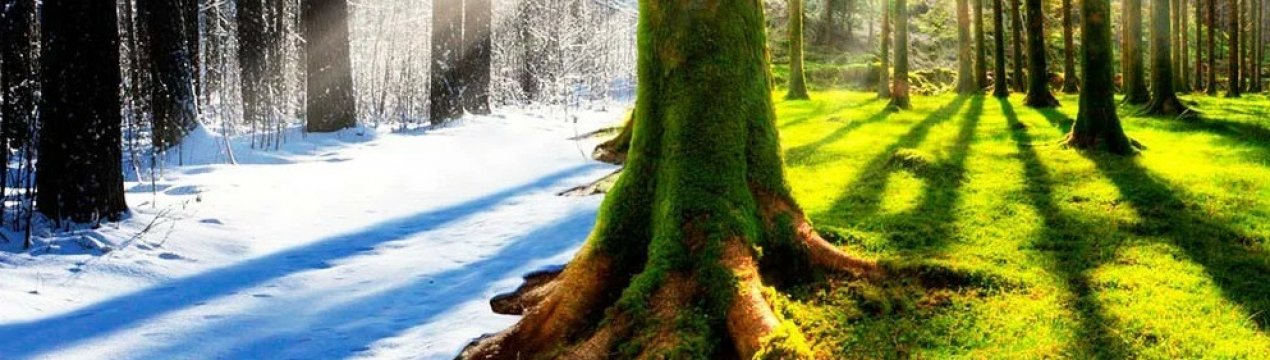 Стало відомо про кліматичну ситуацію в 2021 році