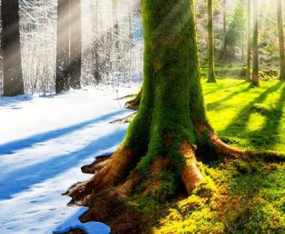 Стало відомо про кліматичну ситуацію в 2021 році