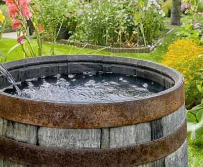 Збираємо дощову і талу воду: можна чи пити її і вживати в їжу?