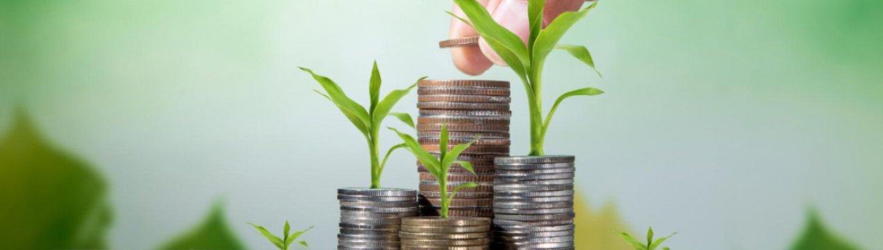 Названий обсяг державної підтримки аграрного сектору в 2021 році